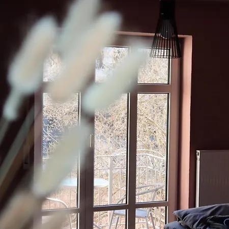 - One / Netflix Balkon Wifi